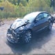 5YJ3E1EAXSF925329 2025 Tesla Model 3 Long Range Rear-Wheel Drive auction photo thumbnail 2