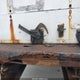 1HTMKAAN37H355075 2007 International 4000 4400 auction photo thumbnail 7