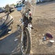 1HD1CX3198K454027 2008 Harley-Davidson Xl1200 L auction photo thumbnail 5