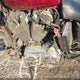 1HD1CX3198K454027 2008 Harley-Davidson Xl1200 L auction photo thumbnail 9