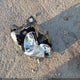 1FTRW12W78FB63346 2008 Ford F-150 60Th Anniversary/Fx2/Xl/Xlt auction photo thumbnail 12