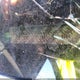 2HGFB2F52DH597402 2013 Honda Civic Lx auction photo thumbnail 9