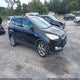 1FMCU0HX7DUC99001 2013 Ford Escape Sel auction photo thumbnail 1