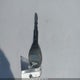 3N1CN7AP3EL816944 2014 Nissan Versa 1.6 S+ auction photo thumbnail 11