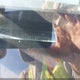 1J4PR4GK7AC148689 2010 Jeep Grand Cherokee Laredo auction photo thumbnail 9