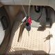 1FMCU0GX0DUD83341 2013 Ford Escape Se auction photo thumbnail 11