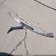 5XYRLDJC5RG284814 2024 Kia Sorento S auction photo thumbnail 12