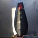 2C3LA53G98H267858 2008 Chrysler 300 Touring auction photo thumbnail 11