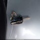 KL4CJGSB7GB684183 2016 Buick Encore Leather auction photo thumbnail 11