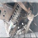 5TEHN72N21Z815856 2001 Toyota Tacoma Double Cab auction photo thumbnail 17