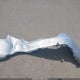 ZARFAMAN6M7647367 2021 Alfa Romeo Giulia Rwd auction photo thumbnail 12