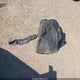 1FA6P8CFXR5435036 2024 Ford Mustang Gt Premium Fastback auction photo thumbnail 12
