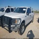 1FTFX1E51KKE51798 2019 Ford F-150 Xl auction photo thumbnail 2