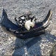 3VWD17AJ7FM313290 2015 Volkswagen Jetta 1.8T Se auction photo thumbnail 11