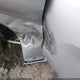 2C3CDXBGXKH743689 2019 Dodge Charger Sxt Rwd auction photo thumbnail 6