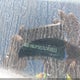 KNDJP3A57G7408833 2016 Kia Soul + auction photo thumbnail 9
