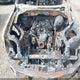 1FTFW1ET0DFA63894 2013 Ford F-150 Platinum auction photo thumbnail 10