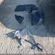 3N1AB8BV0MY242999 2021 Nissan Sentra S Xtronic Cvt auction photo thumbnail 12