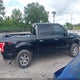 1FTEW1EGXHFB84047 2017 Ford F-150 Xlt auction photo thumbnail 14