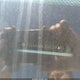 7SVAAABA3SX059380 2025 Toyota Sequoia Trd Pro auction photo thumbnail 18