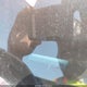 1C4PJLCS1HW592849 2017 Jeep Cherokee Latitude Fwd auction photo thumbnail 9
