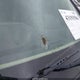 1G11C5SLXEF204382 2014 Chevrolet Malibu 1Lt auction photo thumbnail 12