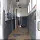 58JGX4H25H1000321 2017 Lakota Charger auction photo thumbnail 8