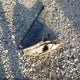 JM1BL1VG4B1437363 2011 Mazda Mazda3 I Touring auction photo thumbnail 12