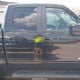 1FTFW1CTXDKD06105 2013 Ford F-150 Fx2 auction photo thumbnail 13