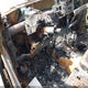 1FTRW14W95KE85132 2005 Ford F-150 Xlt auction photo thumbnail 7