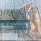1GCRCREC1GZ157662 2016 Chevrolet Silverado 1500 1Lt auction photo thumbnail 17