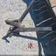 92MA9806091717265 2016 Other Other auction photo thumbnail 10