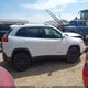 1C4PJLCB4GW312128 2016 Jeep Cherokee Latitude auction photo thumbnail 14