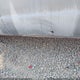 1GNDT13Z5M2291993 1991 Chevrolet Blazer S10 auction photo thumbnail 12