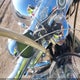 1HD1BJY112Y073155 2002 Harley-Davidson Flstc auction photo thumbnail 11