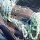 3TMAZ5CN1LM128778 2020 Toyota Tacoma Trd Off-Road auction photo thumbnail 9