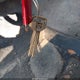 JT3VN29V0S0039325 1995 Toyota 4Runner Vn29 Sr5 auction photo thumbnail 11