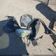 1FMCU9GD3HUA51913 2017 Ford Escape Se auction photo thumbnail 12