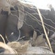 1FT8W3BT9NED04027 2022 Ford F-350 King Ranch auction photo thumbnail 6