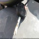1FADP3E28JL322075 2018 Ford Focus S auction photo thumbnail 11