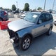 WBXPC93457WF09300 2007 BMW X3 3.0Si auction photo thumbnail 2
