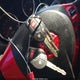 JN8AS5MV6AW123094 2010 Nissan Rogue S auction photo thumbnail 11
