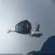 1J4NF1FB7BD210863 2011 Jeep Compass auction photo thumbnail 11