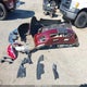 JN8AZ1MW9BW150742 2011 Nissan Murano Sv auction photo thumbnail 13