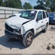 1GNDS13S342153102 2004 Chevrolet Trailblazer Ls auction photo thumbnail 2