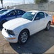 1ZVFT80NX65154834 2006 Ford Mustang V6 auction photo thumbnail 2