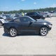 1FA6P8AM9G5265654 2016 Ford Mustang V6 auction photo thumbnail 13