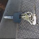 1FTRX18LXXKB03304 1999 Ford F-150 Lariat/Xl/Xlt auction photo thumbnail 11