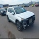 5NMS5CAA0LH223033 2020 Hyundai Santa Fe Limited 2.0T auction photo thumbnail 1
