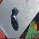 5NMP3DG16RH006541 2024 Hyundai Santa Fe Hybrid Limited auction photo thumbnail 11